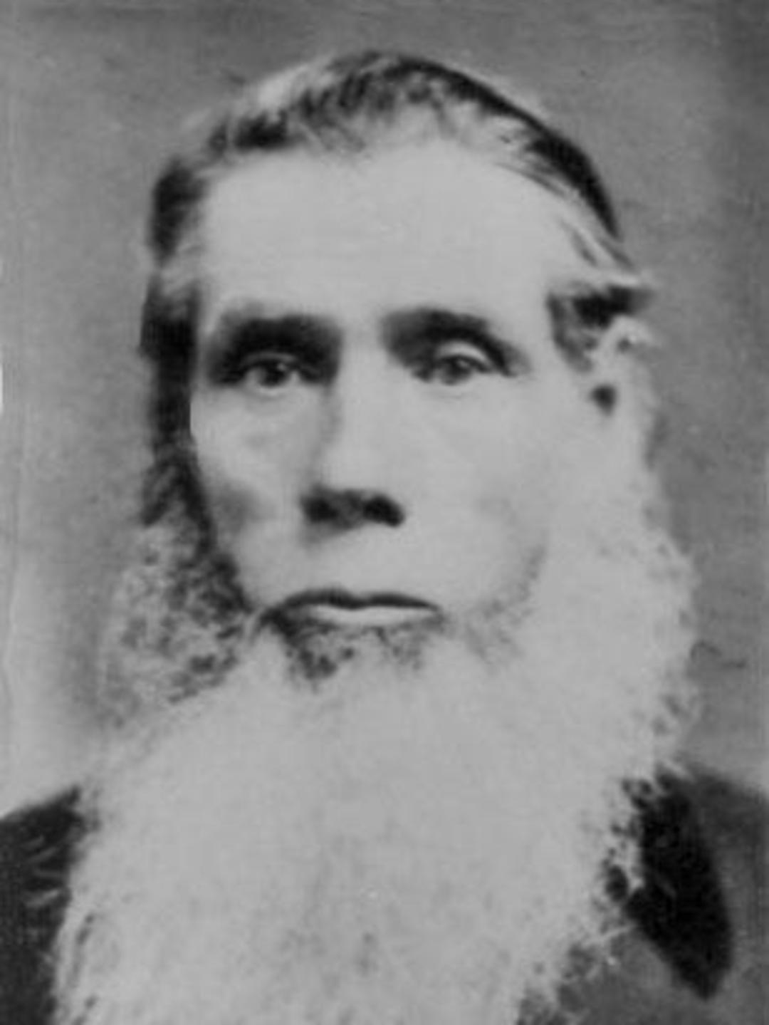David Brooks Park (1839 - 1908) Profile